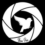 Ben Roe Photography - @benroephotography - Instagram