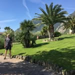 Andreas Roeder - @bennoroeder - Instagram