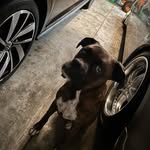ben - @ben.rogan.13 - Instagram