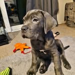 Ben Rogerson - @thebenrogerson - Instagram