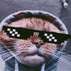トキオはBen - @benrohnerking1111 - TikTok
