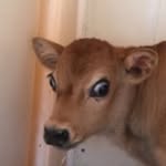 Bennett Rohrbaugh - @catindahatyo - Instagram