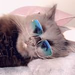 Bennie - @bennietrojek - Instagram
