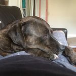 Ben Rollins - @beeroll - Instagram