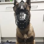 Ben Rolph - @ben.rolph - Instagram
