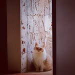 Ben Romek - @ben_romek - Instagram