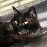 Ben Rosch - @_bendemic_ - Instagram