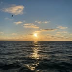 Bennett Rosecrans - Facebook
