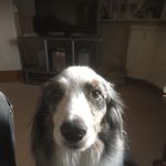 Ben Roselle - @roselleben - Instagram