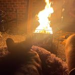 Ben Rothwell - @rothwell5999 - Instagram
