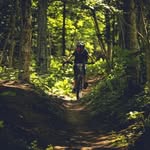 Ben Rowe - @ben_rowe1204 - Instagram