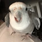 Ben Rutledge - @benrutledge - Instagram