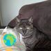 Ben Ryan - Facebook