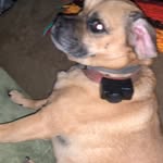 Ben Sabin - @bennyballsup - Instagram