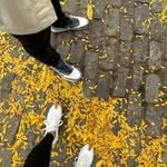 Richard Skulnik | Lindsay Zegans | Ben Sabin - @canvassed__ - Instagram