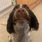 Ben Sadler - Facebook