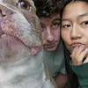 ben d - @bensage343 - TikTok