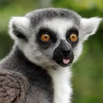 Ben Salisbury - @ben.s639 - Instagram