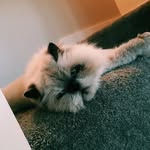 Ben Sams - @benntoboxx - Instagram