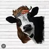 bennettsandberg - @bennettsandberg7 - TikTok