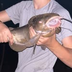 Ben Sauer - @bvsauer - Instagram