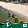 Ben Schaeffer - @benschaeffer56 - TikTok