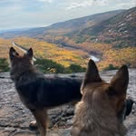 Ben Schaeffer - @schaeffer1520 - Instagram