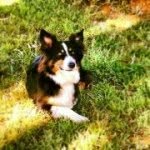 Ben Schaeffer - @kellysfbc - Instagram