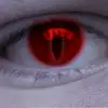 Ben Schaeffer - @ben.schaeffer - TikTok