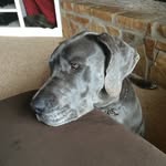 Ben Scheffler - @bms_frog - Instagram
