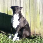 Ben Schimke - @benny_boy2000 - Instagram