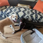 Ben Scholl - @schollben86 - Instagram