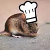 Ben Schultz - @_littlechef_ - TikTok