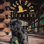 Ben Sears - @foggy_dock_outdoors - Instagram