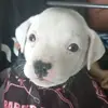 Benjamín serrano - @benserrano30 - TikTok