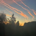 B.S - @ben_sexton2514 - Instagram