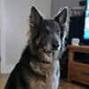 Ben Shand - @ben.shand - TikTok