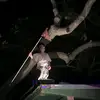 Ben - @benshanley11 - TikTok