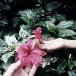 shanleybenliro - @shanleybenliro - Instagram