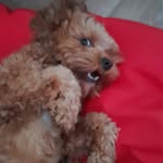 Ben Sharples - @sharples5701 - Instagram
