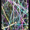 homedog22_5 - @ben_sharples_17 - TikTok