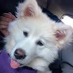 @benshedden.1 - Instagram