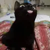 bensheehan_123 - @bensheehan_123 - TikTok