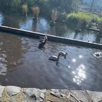 Ben sheen - @bensheen9 - Instagram