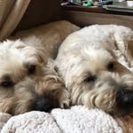 Karen Shellenberger Bennett - @karen.bennett.5011516 - Instagram