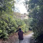 Ben Sherrin - @ben.sherrin - Instagram