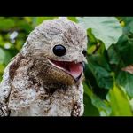 Ben Shideler - @justadudebro360 - Instagram