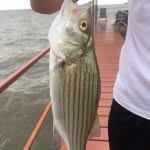 Ben Shinn - @ds_fishing_ - Instagram