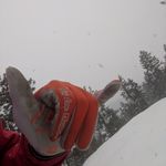 Ben Shivers - @thesecondben14 - Instagram