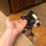 Bennett Schumacher - @ben_shoe_ - Instagram